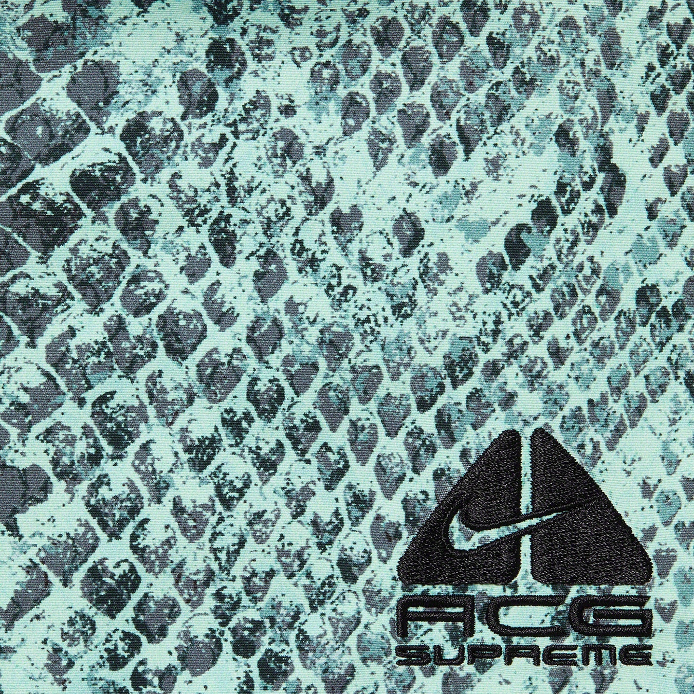 Supreme®/Nike® ACG Nylon Trail Short view 7